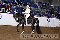 09usn-00704 proof