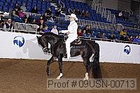 09usn-00713 proof