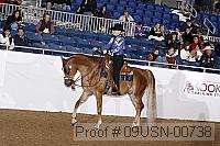 09usn-00738 proof