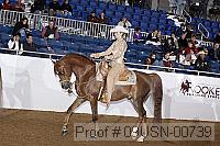 09usn-00739 proof