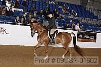 09usn-01602 proof