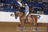 09usn-01604 proof