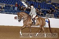 09usn-01605 proof