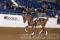 09usn-01606 proof