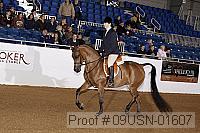 09usn-01607 proof