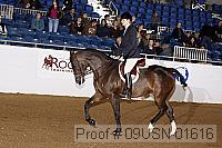 09usn-01616 proof