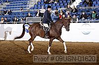 09usn-01620 proof