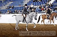 09usn-01621 proof