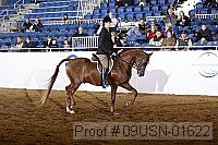 09usn-01622 proof