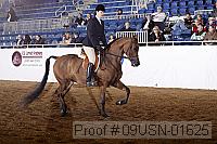 09usn-01625 proof