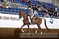 09usn-01633 proof