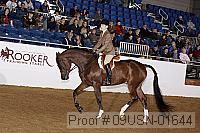 09usn-01644 proof