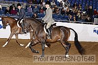 09usn-01648 proof