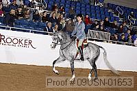 09usn-01653 proof