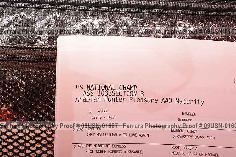 Proof 09usn-01657