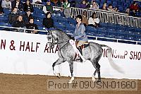 09usn-01660 proof