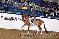 09usn-01663 proof