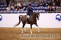 09usn-01722 proof