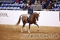 09usn-01724 proof