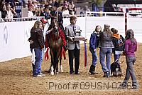 09usn-02965 proof