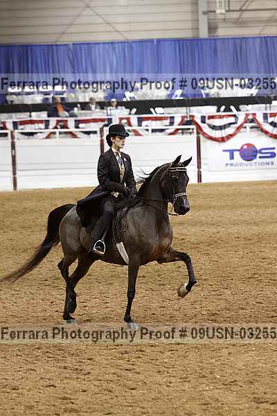 Proof 09usn-03255