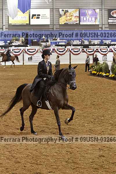 Proof 09usn-03266