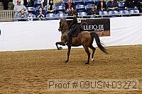 09usn-03272 proof