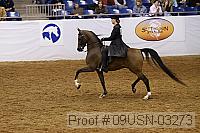 09usn-03273 proof