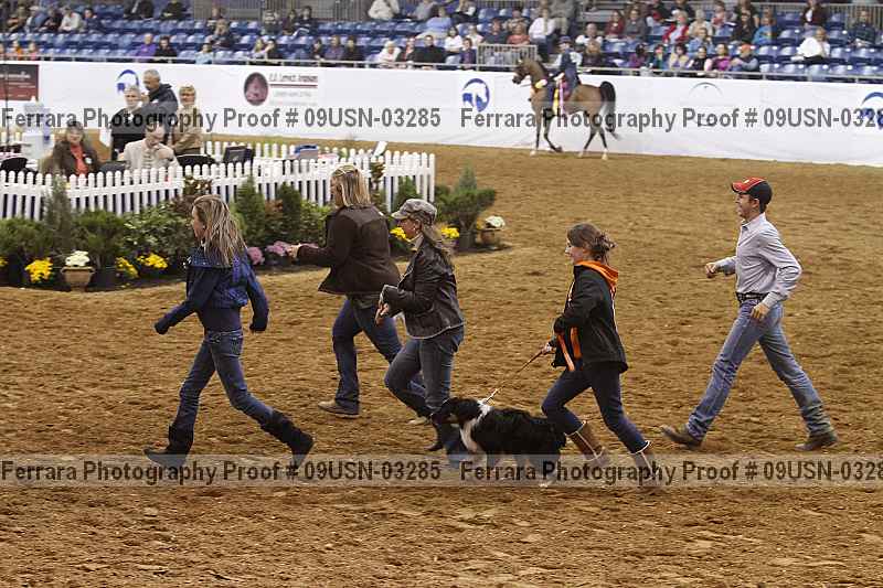 Proof 09usn-03285