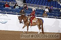 09usn-00654 proof