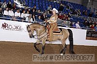 09usn-00677 proof