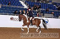 09usn-00166 proof