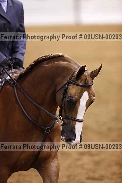Proof 09usn-00203