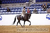 09usn-00252 proof