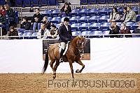 09usn-00260 proof