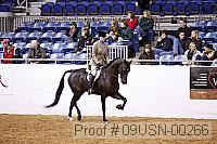 09usn-00266 proof