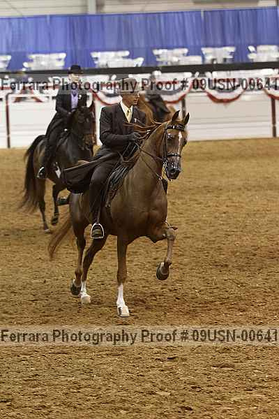 Proof 09usn-00641