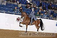 09usn-00906 proof