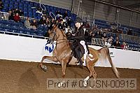 09usn-00915 proof