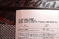 09usn-00921 proof