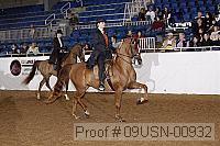 09usn-00932 proof