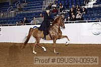09usn-00934 proof