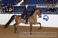 09usn-00935 proof