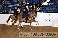09usn-00936 proof