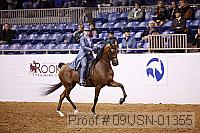 09usn-01355 proof