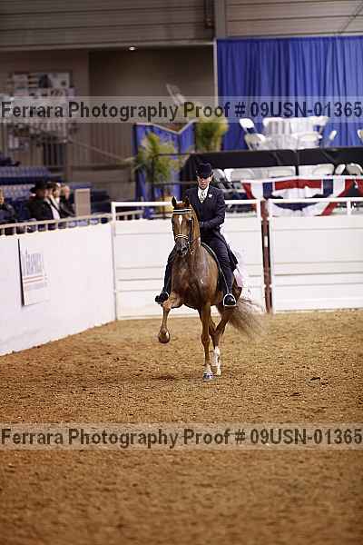 Proof 09usn-01365