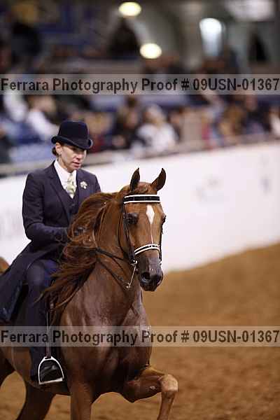 Proof 09usn-01367