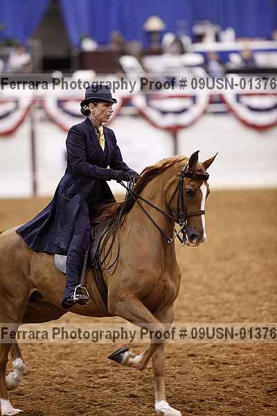 Proof 09usn-01376
