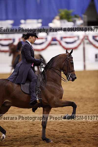 Proof 09usn-01377
