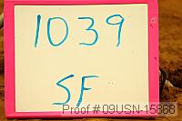 09usn-15868 proof